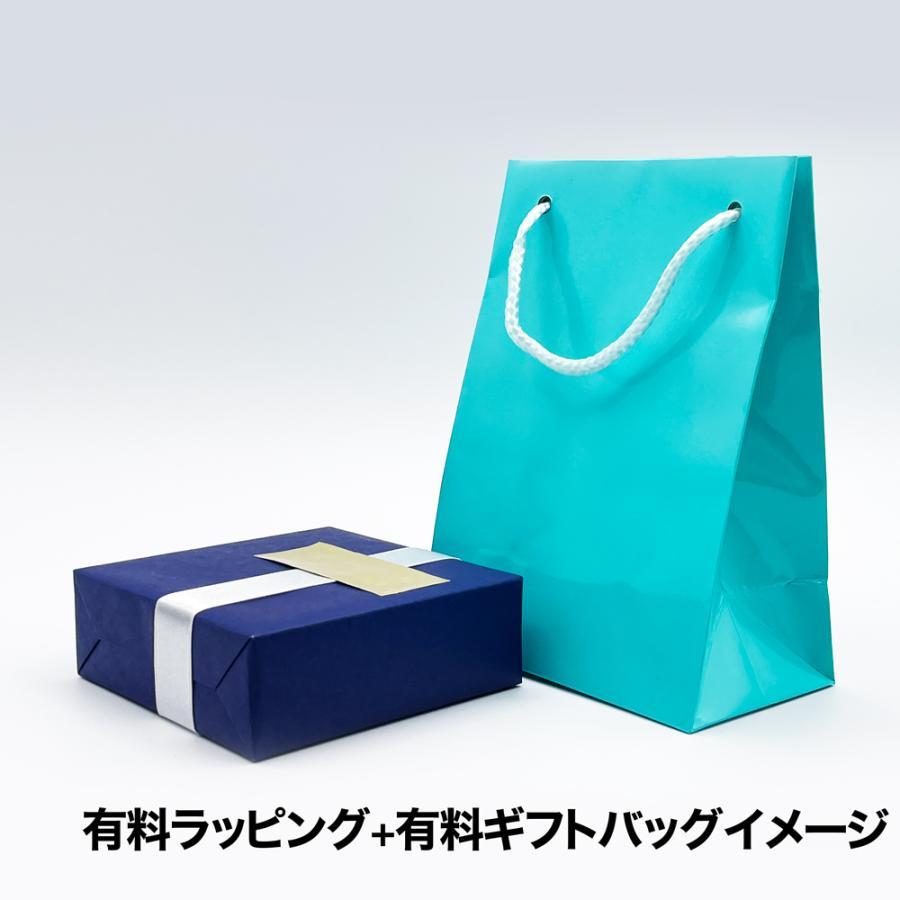 Apple アップル 純正 AirPods Pro 第2世代 USB-C エアポッズプロ2