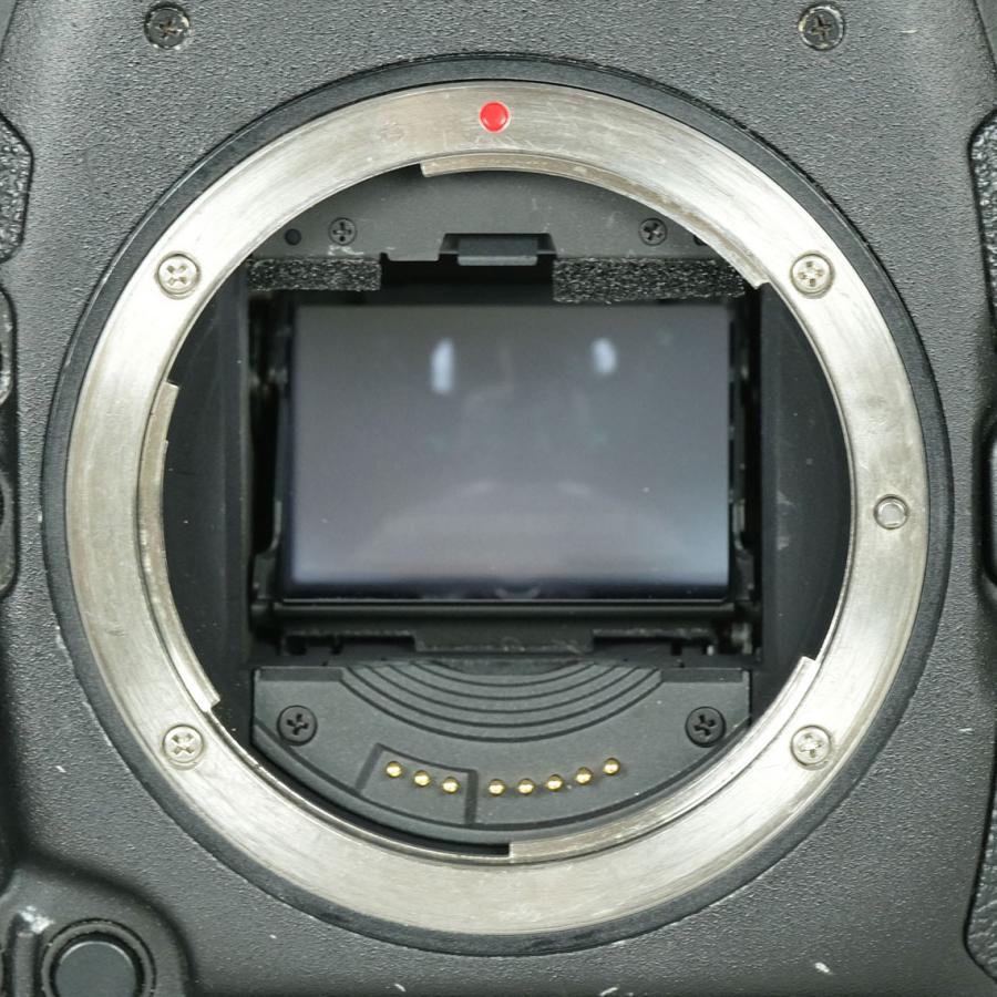 並品 | バッテリー2個・CFカード2枚付] Canon EOS-1D X EFマウント