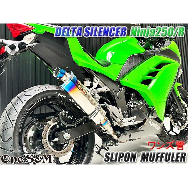 Ninja250 Ninja250R JBK-EX250L EX250K 前期 中期 ニンジャ250 Z250