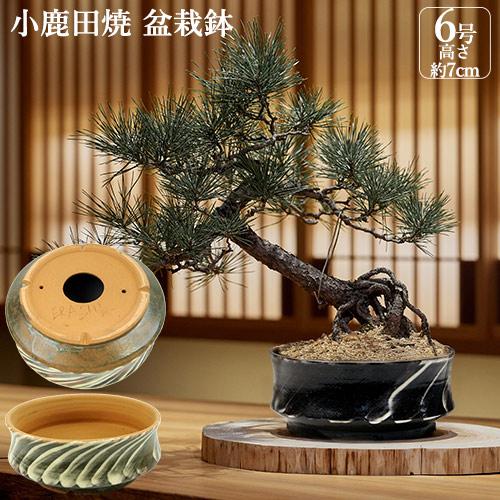 大分県日田市の小鹿田焼(おんたやき) 盆栽鉢 ERASHI(中) 直径約18cm×高