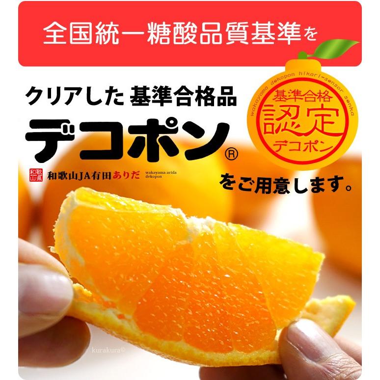 有田 デコポン (20-24玉/約5kg) 和歌山産 でこぽん 秀品 贈答 ギフト
