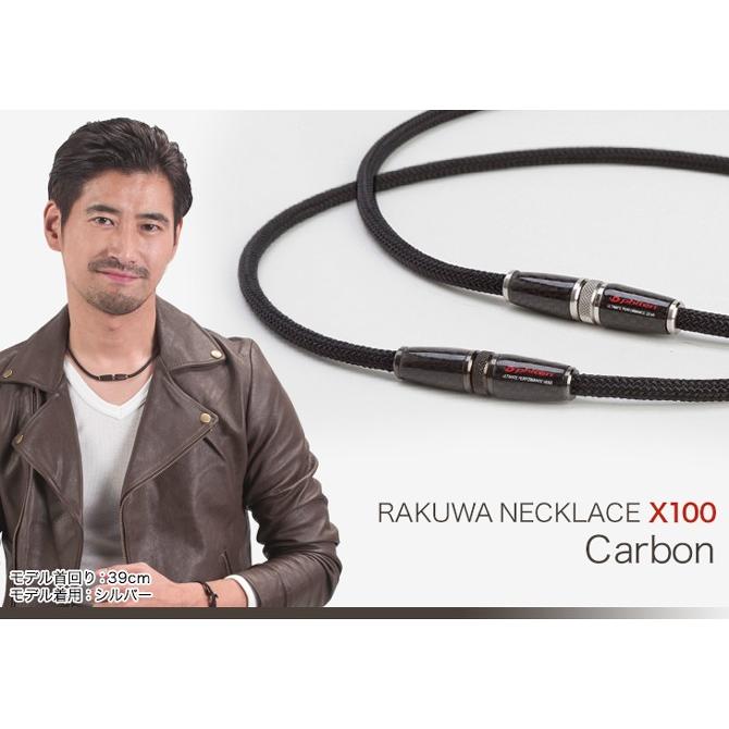 Phiten（ファイテン） 送料無料 RAKUWAネックX100 カーボン シルバー
