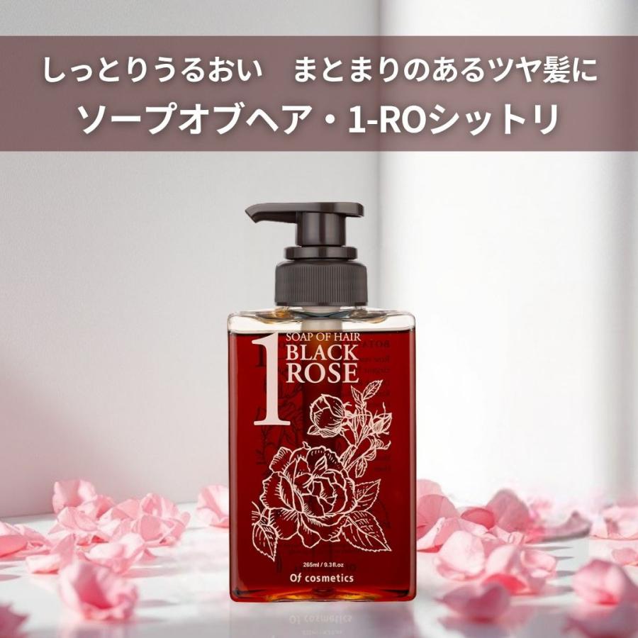 ソープオブヘア・1-ROシットリ 265ml トリートメントオブヘア・2-RO
