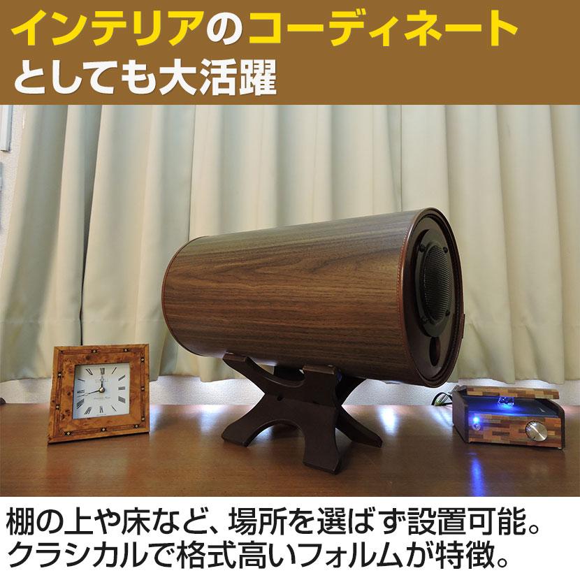 エムズスピーカー MS1001 波動スピーカー 無指向性スピーカー エムズ