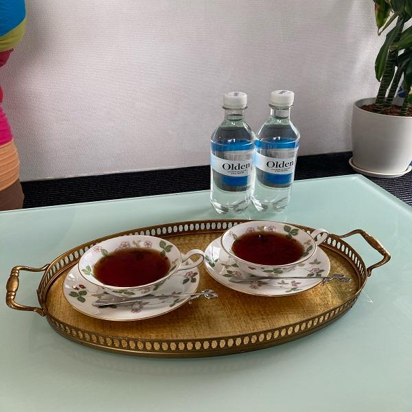 北欧 ノルウェー ミネラルウォーター 500ml 5本 5000ml 1本セット 送料