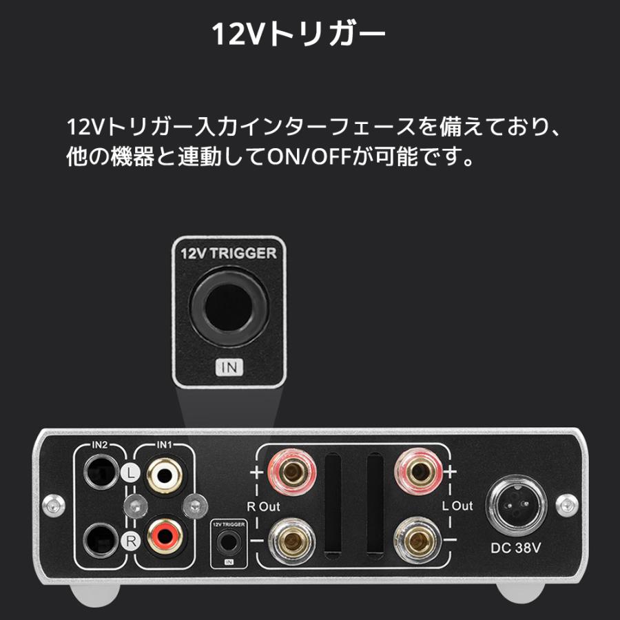 1年保証 Topping PA5 II フルバランス クラスD パワーアンプ