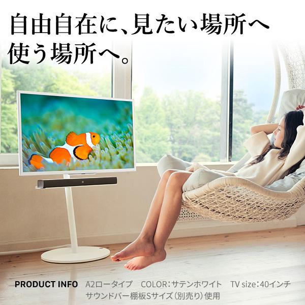 EQUALS（イコールズ） WALLインテリアテレビスタンドA2 ロータイプ 24