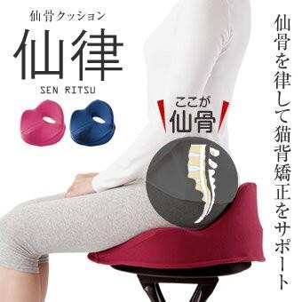 アルファックス 猫背矯正サポート 仙骨 クッション 仙律 座布団 姿勢