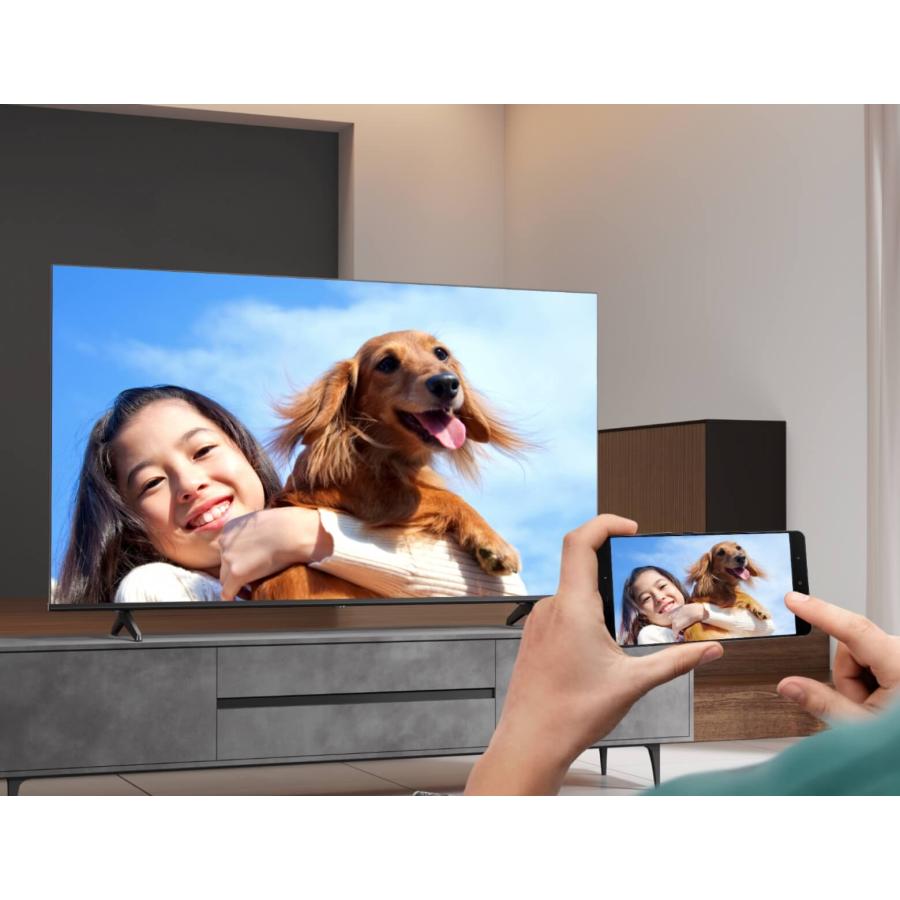 ハイセンス（HISENSE） 【アウトレット商品】ハイセンステレビ43V型