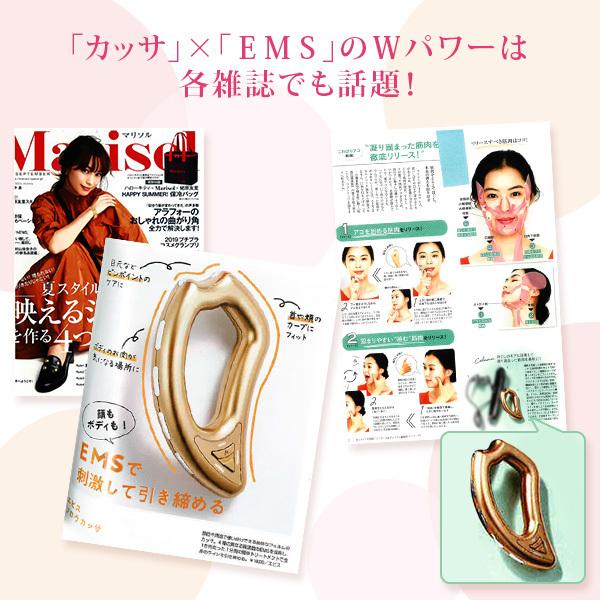 EBiS かっさ EMS かっさ美顔器 電動かっさ カッサ 美顔器 フェイスかっ