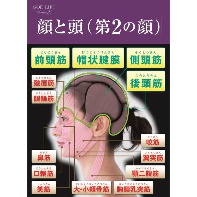 美顔器 効果 頭皮マッサージ器 頭 ヘッドスパ ゴッドリフト