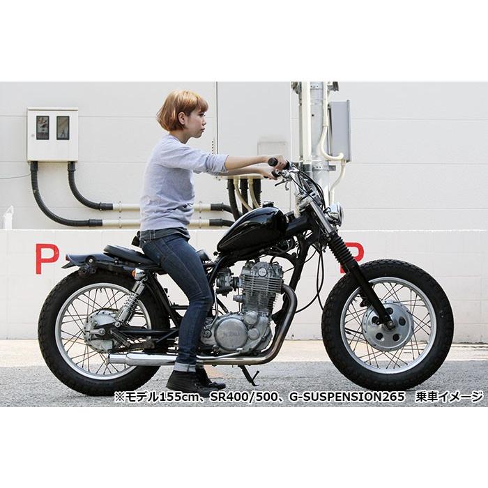 グッズ(GOODS) G-SUSPENSION280 / クローム (14-14) SR400/500