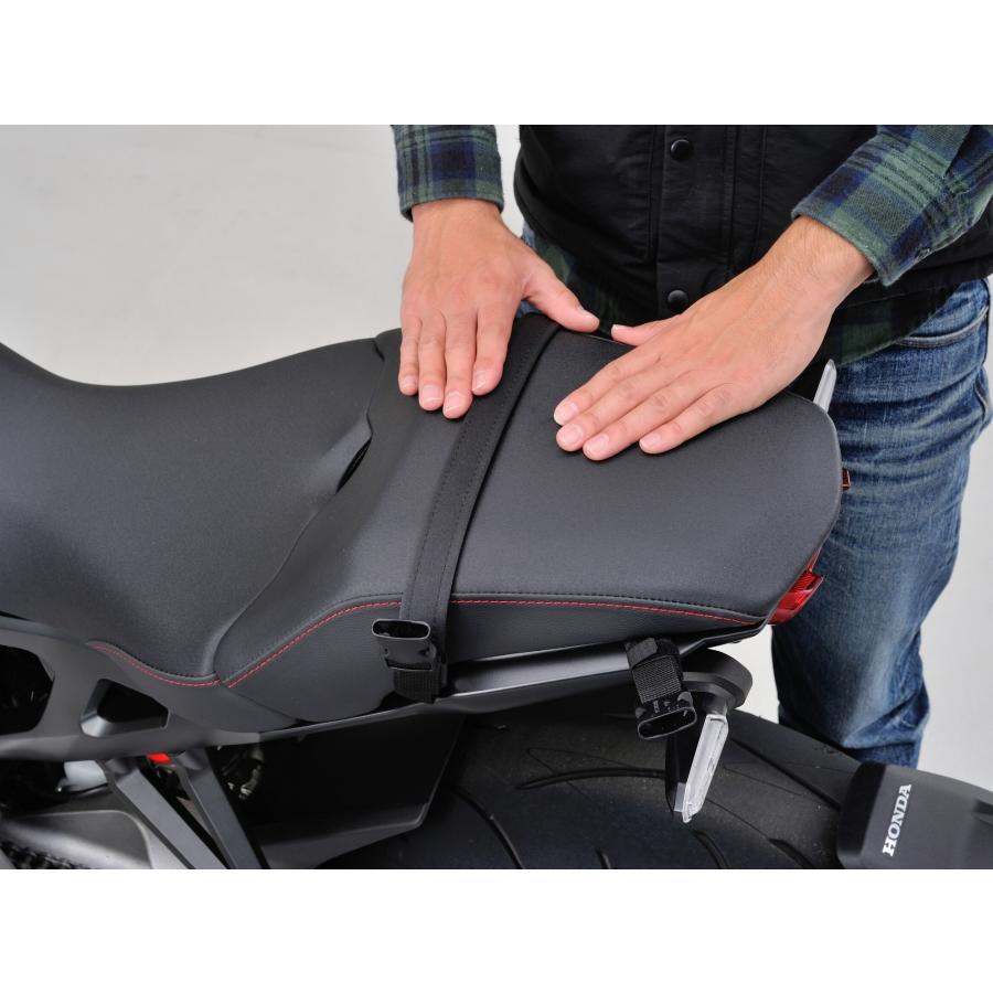 HenlyBegins（ヘンリービギンズ） デイトナ DAYTONA バイク用 リア