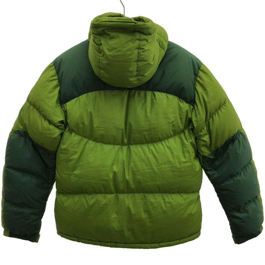 patagonia（パタゴニア） 00's Down Parka ナイロンフーデッドダウン