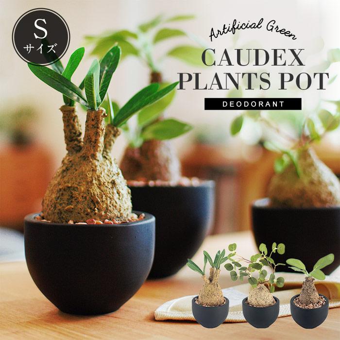 CT触媒 コーデックスS 塊根植物 多肉植物 おしゃれ フェイクグリーン
