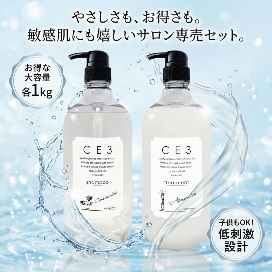 CE3 シャンプー トリートメント セット 1000mL 弱酸性 サロン専売 ノン