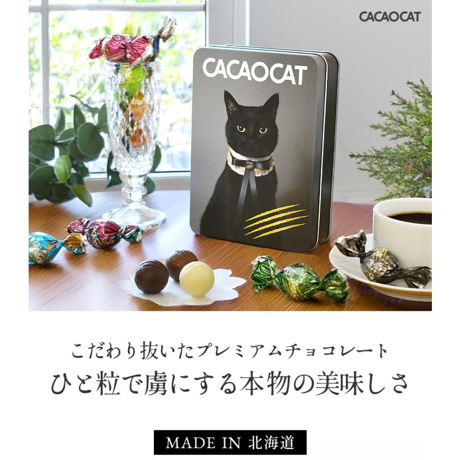紙袋リボン付 CACAOCAT 黒猫缶 国内製造 14pcs アソート プレミアム