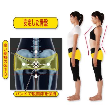 送料無料/10％OFF! ヘルスパワー バランサー バンド/股関節保持バンド