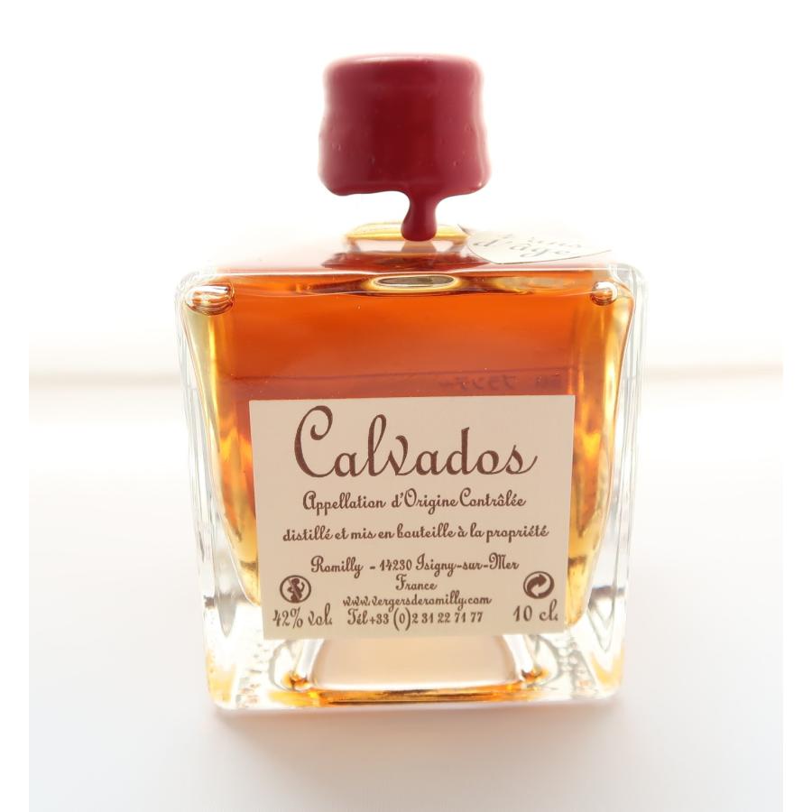 カルヴァドス VSOP ミニボトル100ml 42% - Calvados Mini カルバドス