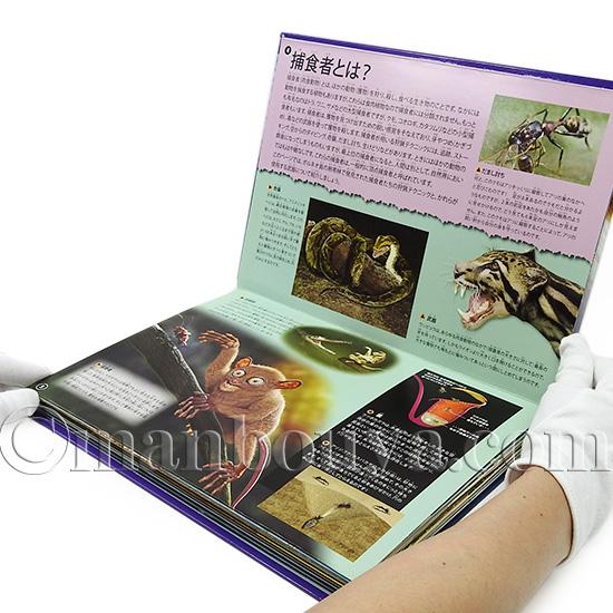 飛び出す絵本 しかけ絵本 動物 図鑑 立体 大日本絵画 捕食者探検