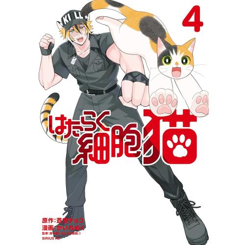 新品 / はたらく細胞 猫 (1-4巻 最新刊) 全巻セット : 漫画全巻ドット