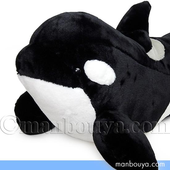 シャチ ぬいぐるみ 水族館 グッズ ISHIWATA シャチくん Lサイズ 54cm