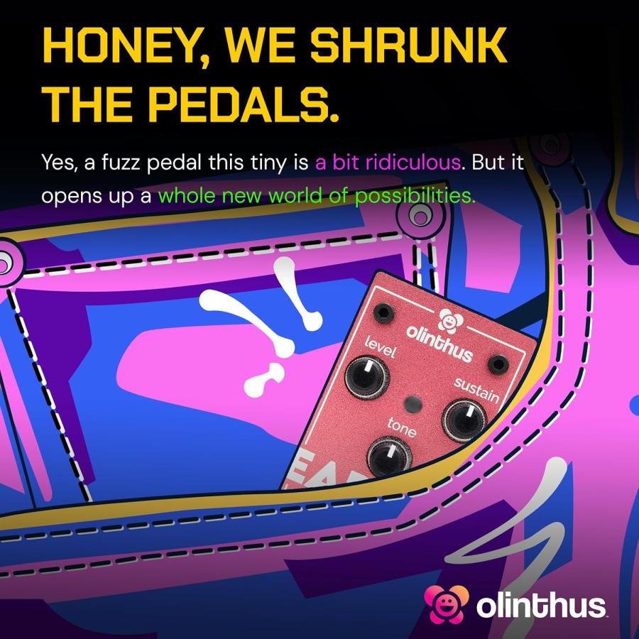 Olinthus オリンサス エフェクター ファズ Earwig [入出力用ブレイク