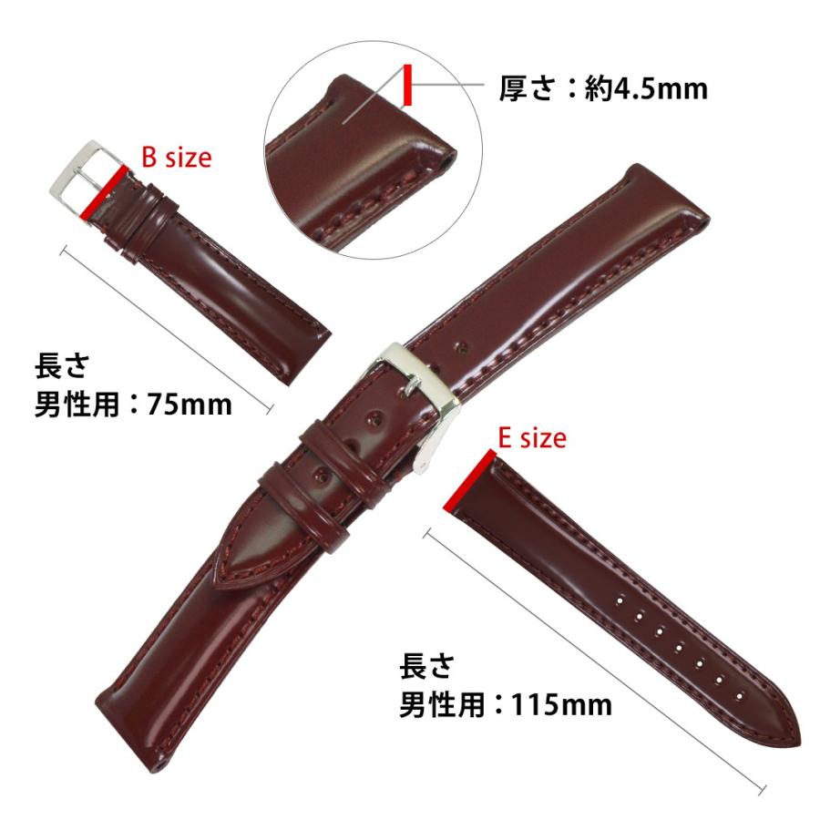 CASSIS（カシス） フランクミュラー ロングアイランド 用 FRANCK