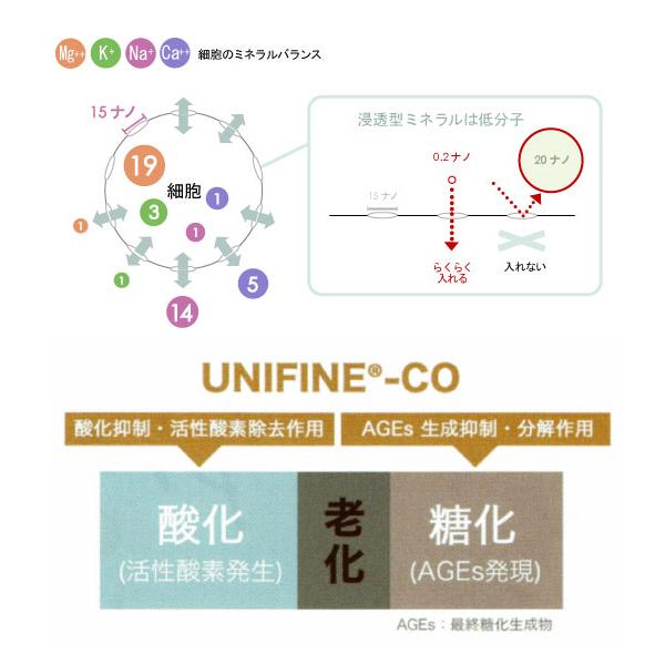 シリアルナンバー付 ノンf エナジー プレミアム McCoy 650g ボディ