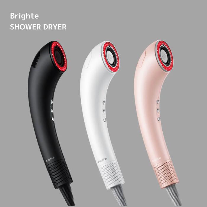 正規品】Brighte Shower Dryer シャワードライヤー ブライト ミスト
