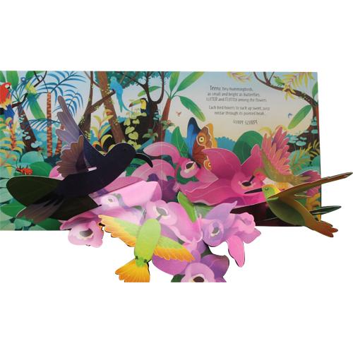 飛び出す絵本 鳥 Usborne 英語 しかけ絵本 ヨーロッパ発 プレゼントに