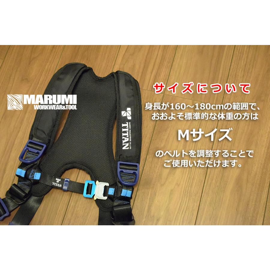 タイタン 【タイタン TITAN】新規格フルハーネス型安全帯[リコロ2