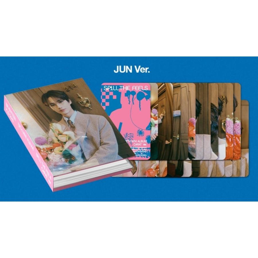 メンバー選択可] SEVENTEEN 公式グッズ SPILL THE FEELS CARAT Ver