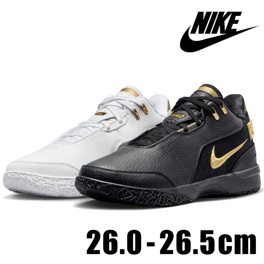 レブロン（NIKE） NIKE ズーム レブロン NXXT GEN FJ1567 103 メンズ