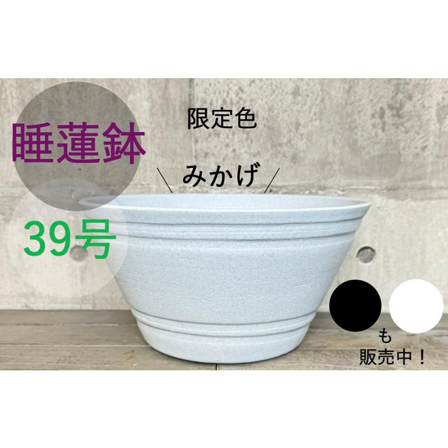 睡蓮鉢（メダカ鉢）プラスチック製 39号 : MEIWACO Yahoo!ショップ