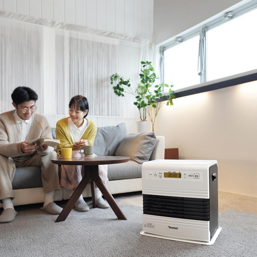 ダイニチ（Dainichi） ダイニチ工業 家庭用 石油ファンヒーター スノー