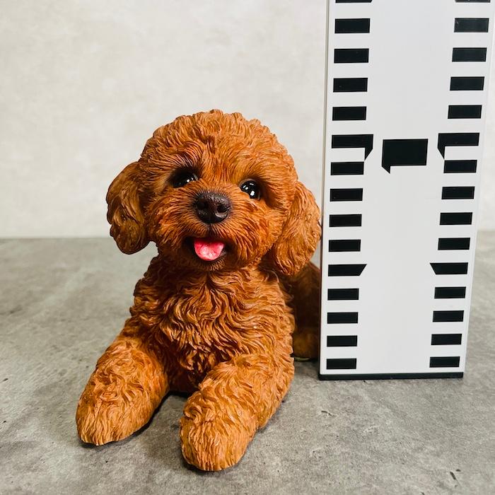 置物 犬 かわいい 動物 玄関 見上げるトイプードル ブラウン おしゃれ
