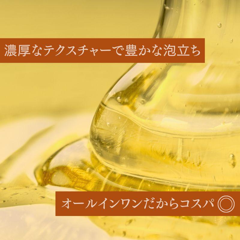 シャンプー ボトル【公式】ノ・アルフレ オールインワン アミノ酸 ノン