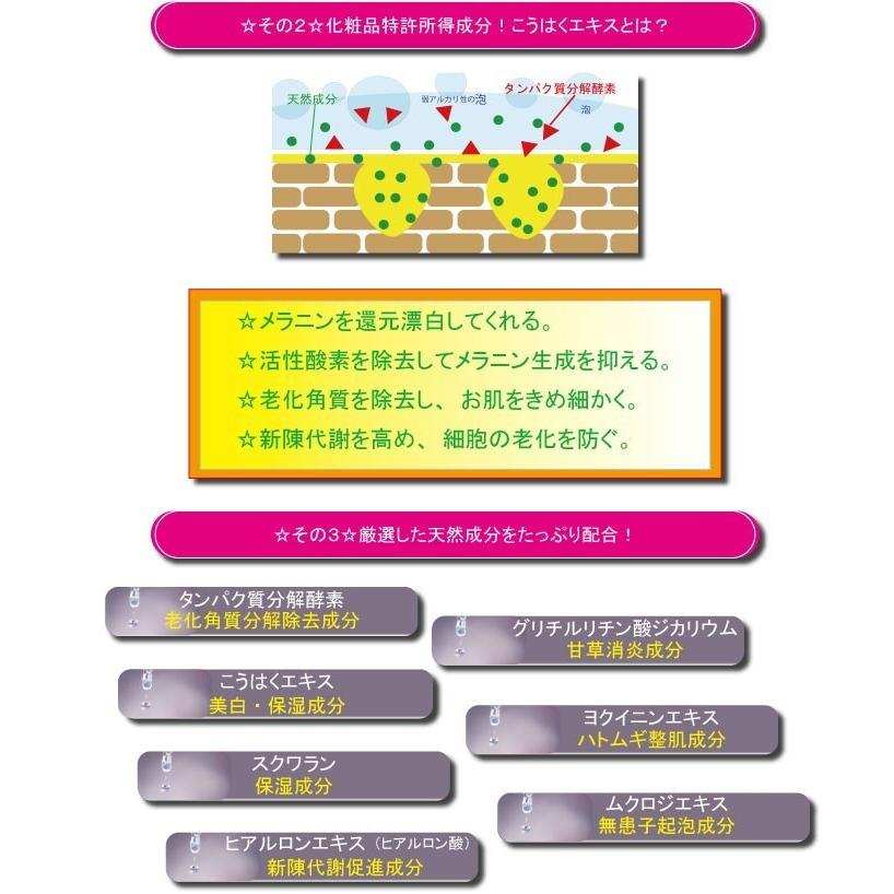 RECONTE（レコンテ） ビオソープ 洗顔石鹸 固形石鹸 酵素洗顔 美白