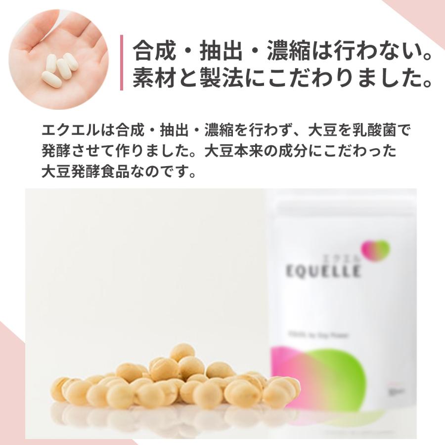 エクエル 6袋セット 大塚製薬 パウチタイプ 120粒 : Chronus-クロノス