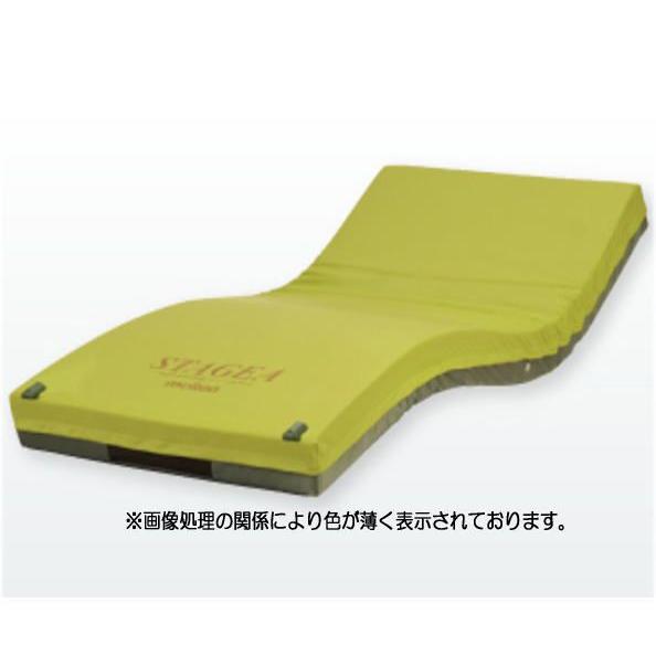 個人宅配送可 エアマットレス ステージア モルテン MSTA91 MSTA91S