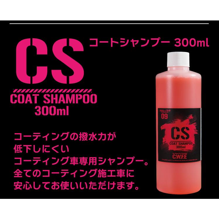 洗車 コーティング フルセット 全11点セット これだけあればプロ並みの