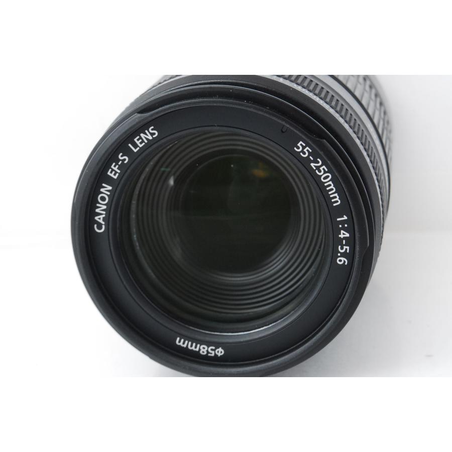 EF-S Canon キヤノン 55-250mm F4-5.6 IS 手ぶれ補正付き : 山ウサギ