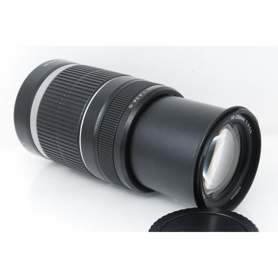 EF-S Canon キヤノン 55-250mm F4-5.6 IS 手ぶれ補正付き : 山ウサギ