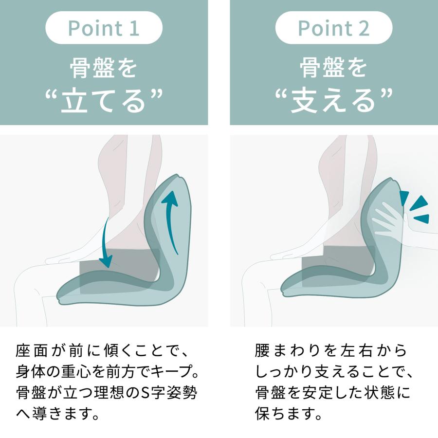 Style（スタイル） ○ポイント10倍！○ 公式ストア スタイルプレミアム