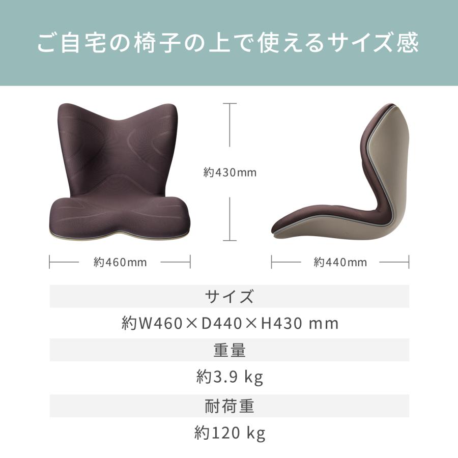 Style（スタイル） ○ポイント10倍！○ MTG公式ストア 座椅子