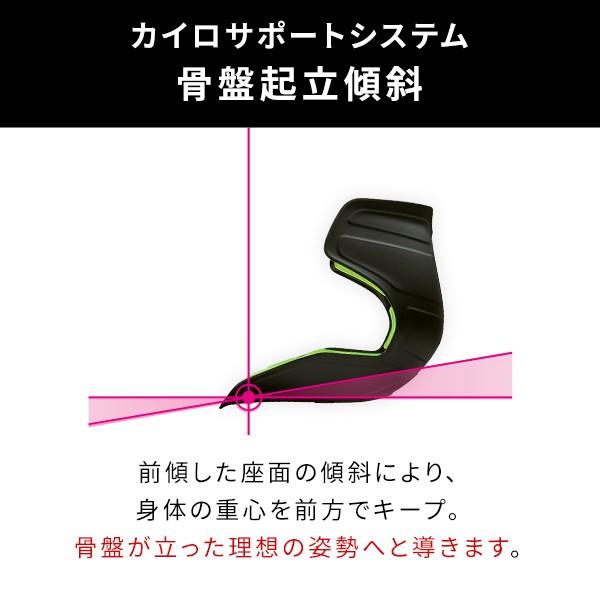 Style（スタイル） 座椅子 椅子 アスリートツー Style Athlete II 猫背