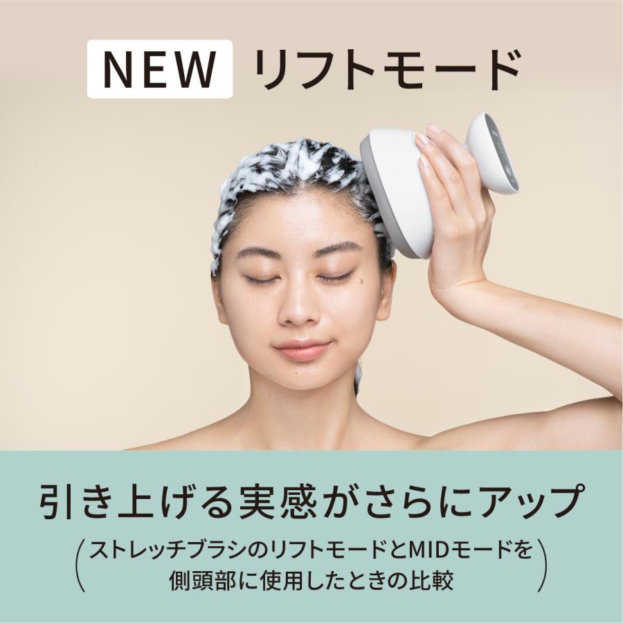 Panasonic（パナソニック） EH-HE0J-S(シルバー調) 頭皮エステ