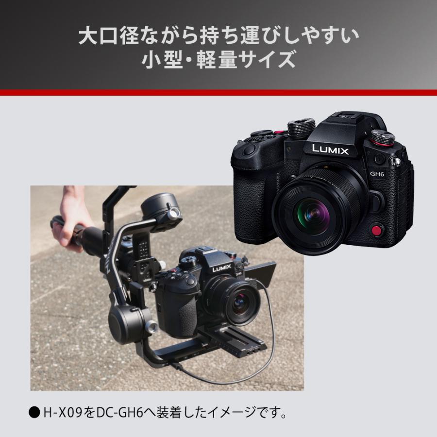 Panasonic（パナソニック） H-X09 デジタル一眼カメラ用交換レンズ