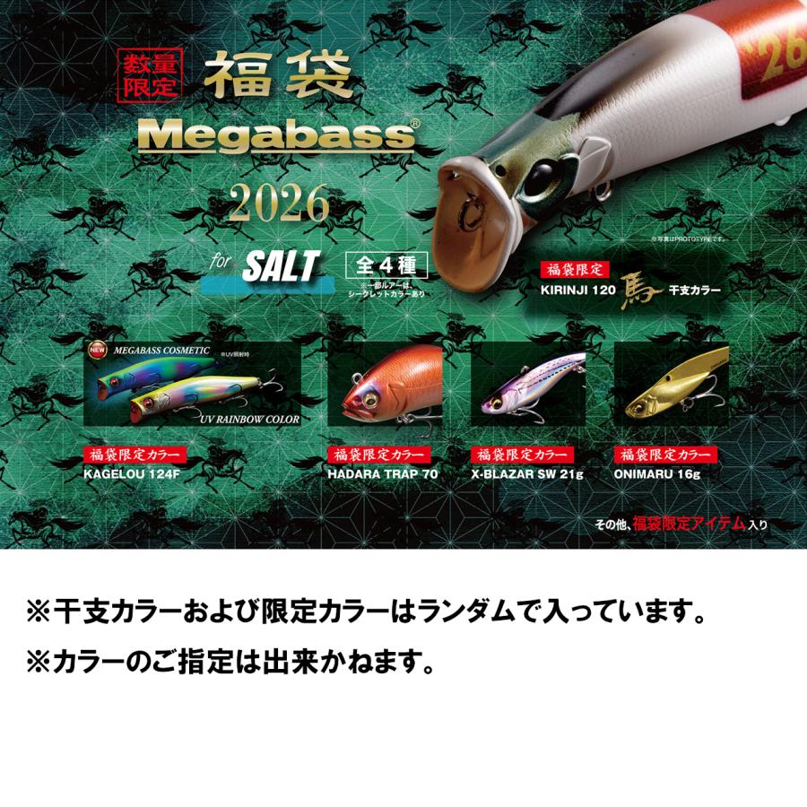 Megabass/メガバス 2026福袋 SALT SET : murauchi.co.jp - 通販